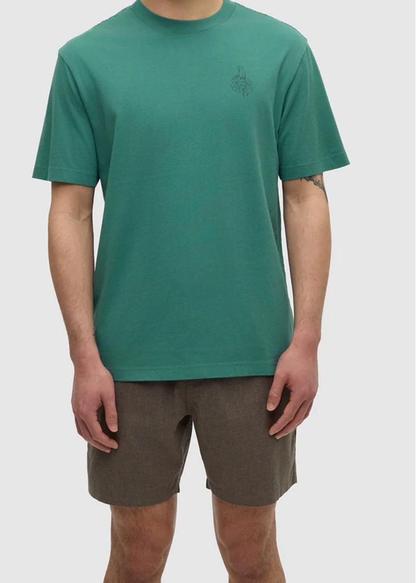 Amazon Tshirt