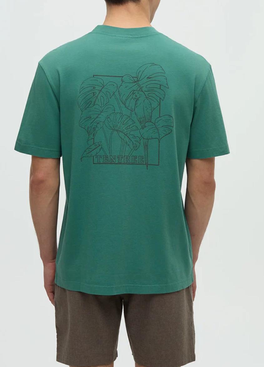 Amazon Tshirt